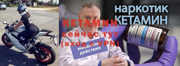 сатива Инта