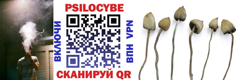 Псилоцибиновые грибы MAGIC MUSHROOMS  где продают   Черкесск 