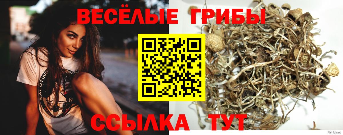 Псилоцибиновые грибы мухоморы Черкесск