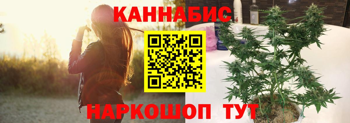 Марихуана семена  Черкесск  Канабис гибрид  Канабис гибрид  Шишки марихуана Amnesia 